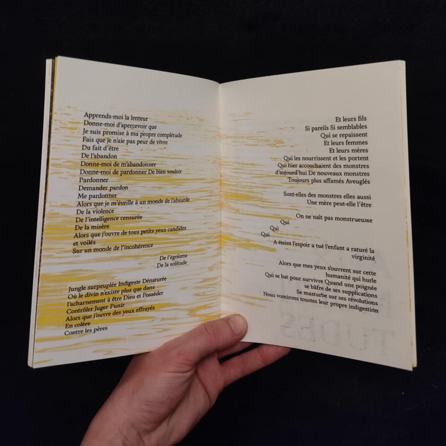 la micro-édition de Dans ton ventre désert, je vois des multitudes