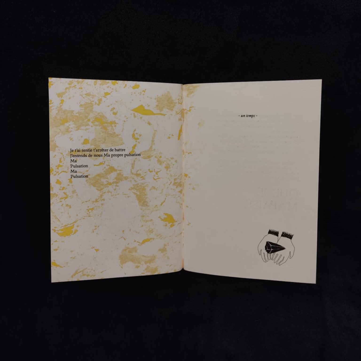 la micro-édition de Dans ton ventre désert, je vois des multitudes