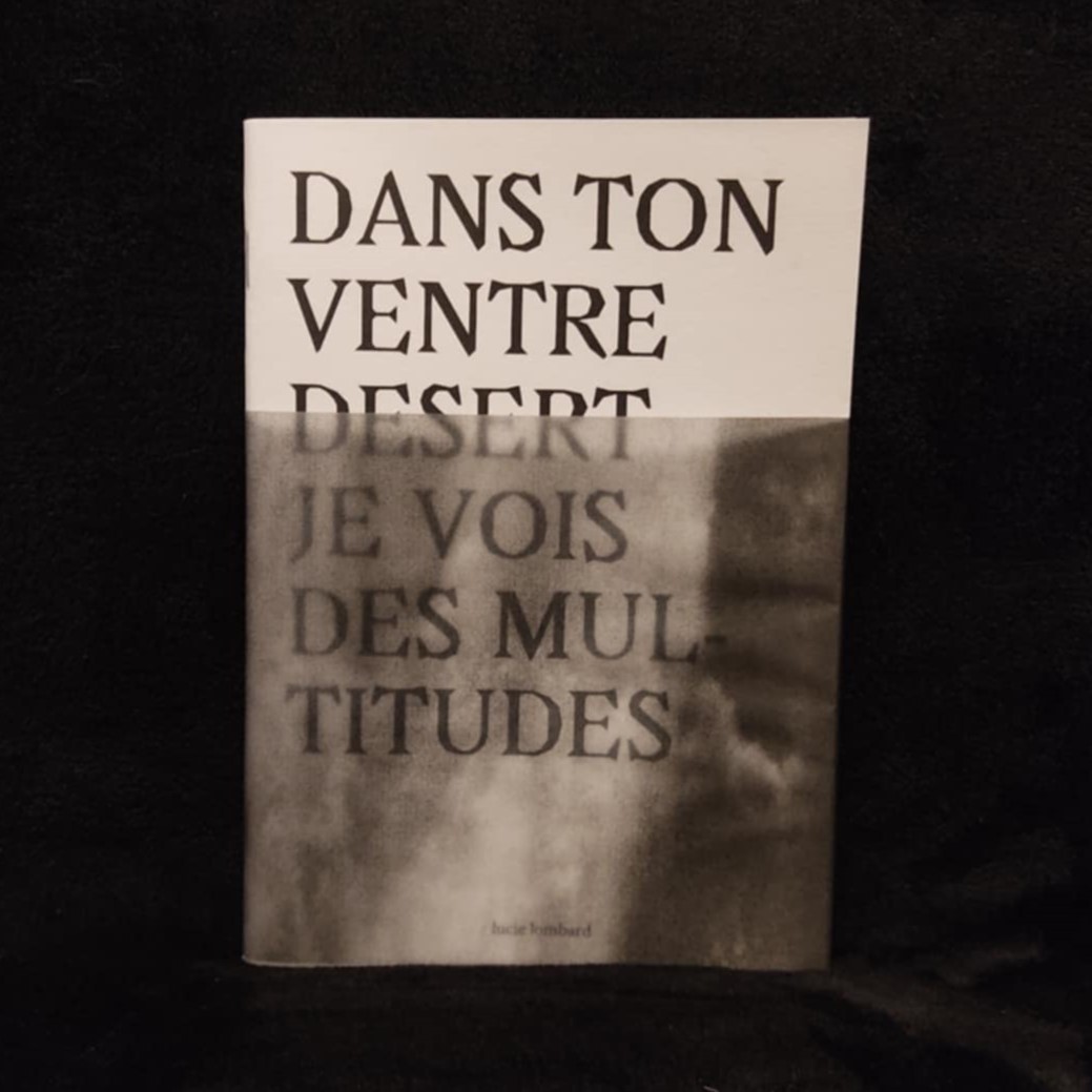 la micro-édition de Dans ton ventre désert, je vois des multitudes