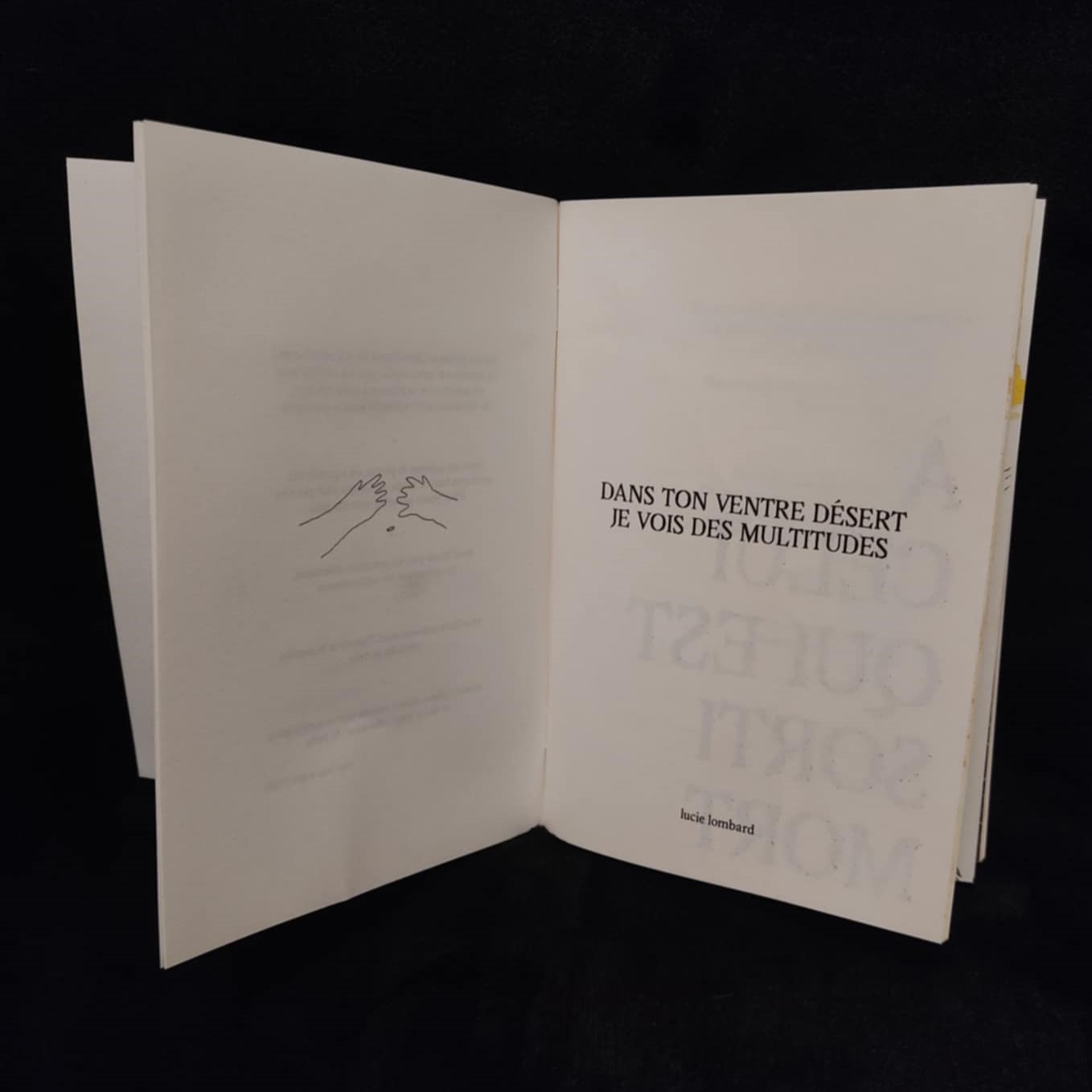 la micro-édition de Dans ton ventre désert, je vois des multitudes